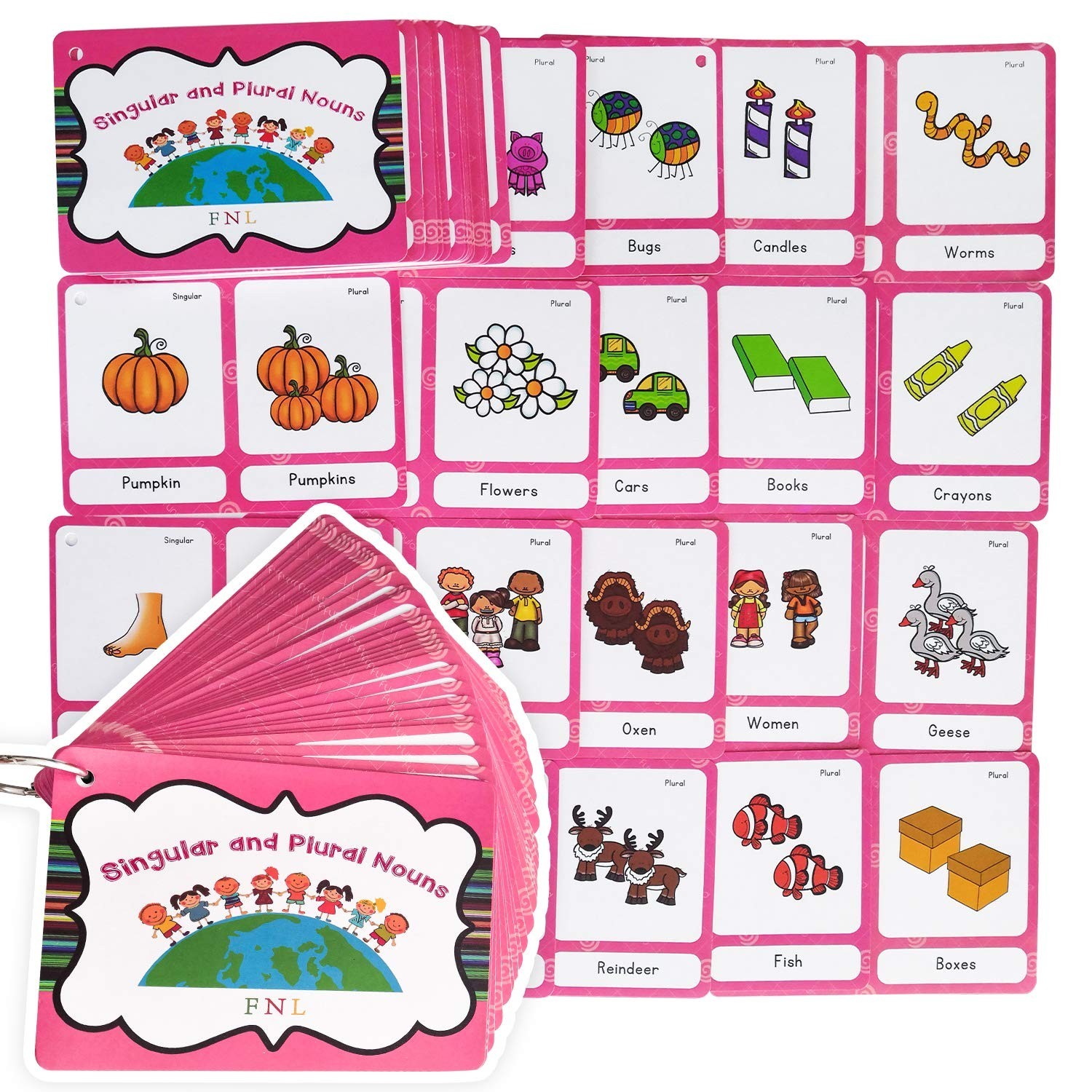 Richardy 70 Groups Singular and Plural Nouns Flashcards Pocket Card Building ...