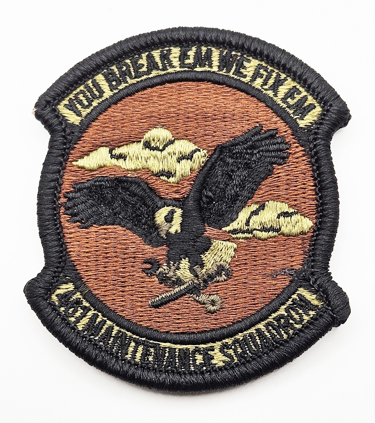 US Air Force 461st Maintenance Squadron Subdued Hook Back Patch