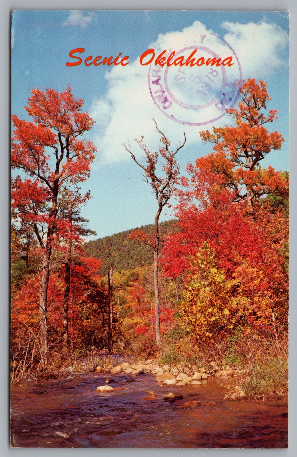 Scenic OK Autumn Trees Fall Foliage Stream Forest Nature 1978 Postcard TS-312