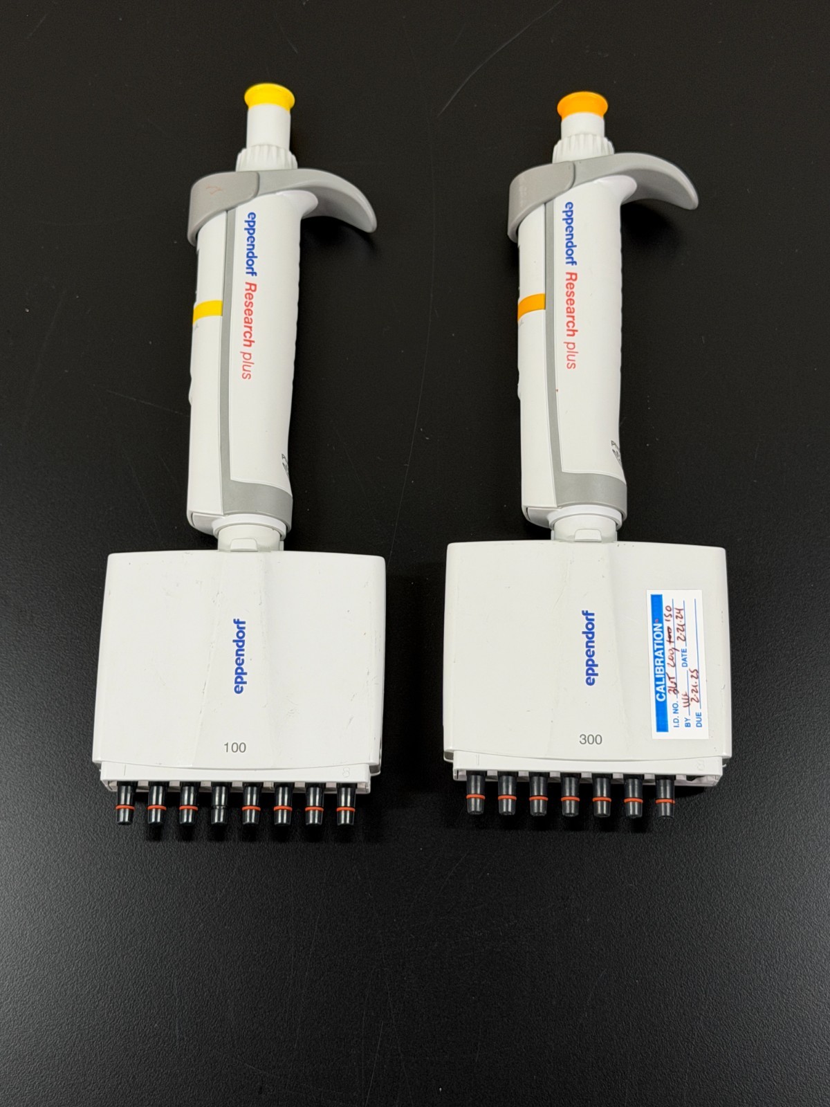 2x Eppendorf Research Plus 30-300uL Pipette 8 Channel