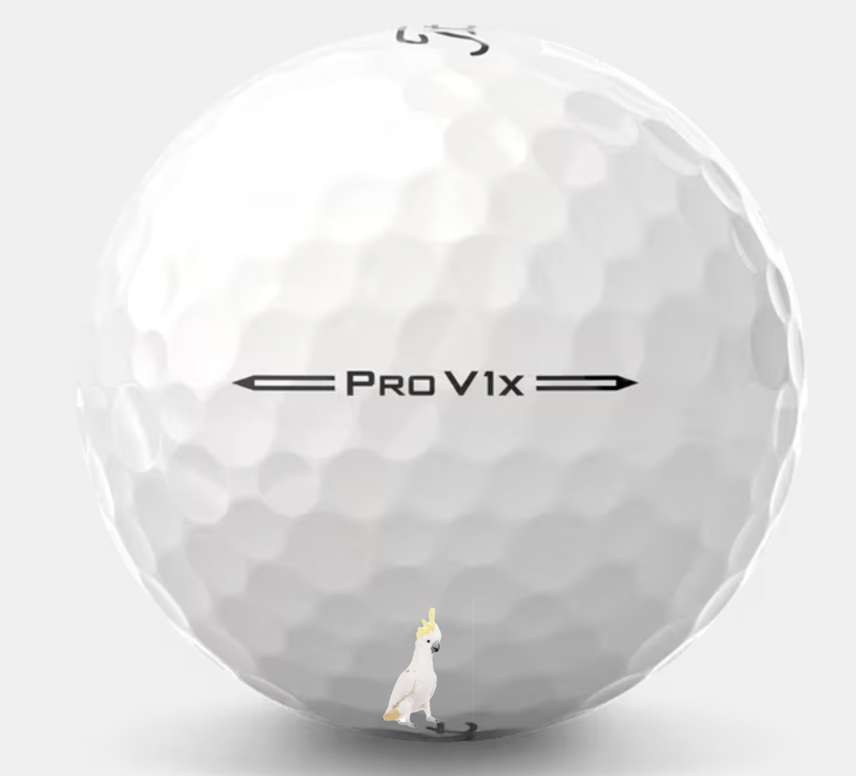 48 Titleist Pro V1X 2024 White 48 5A Pro V1X 2024 Used  New Version Titleist