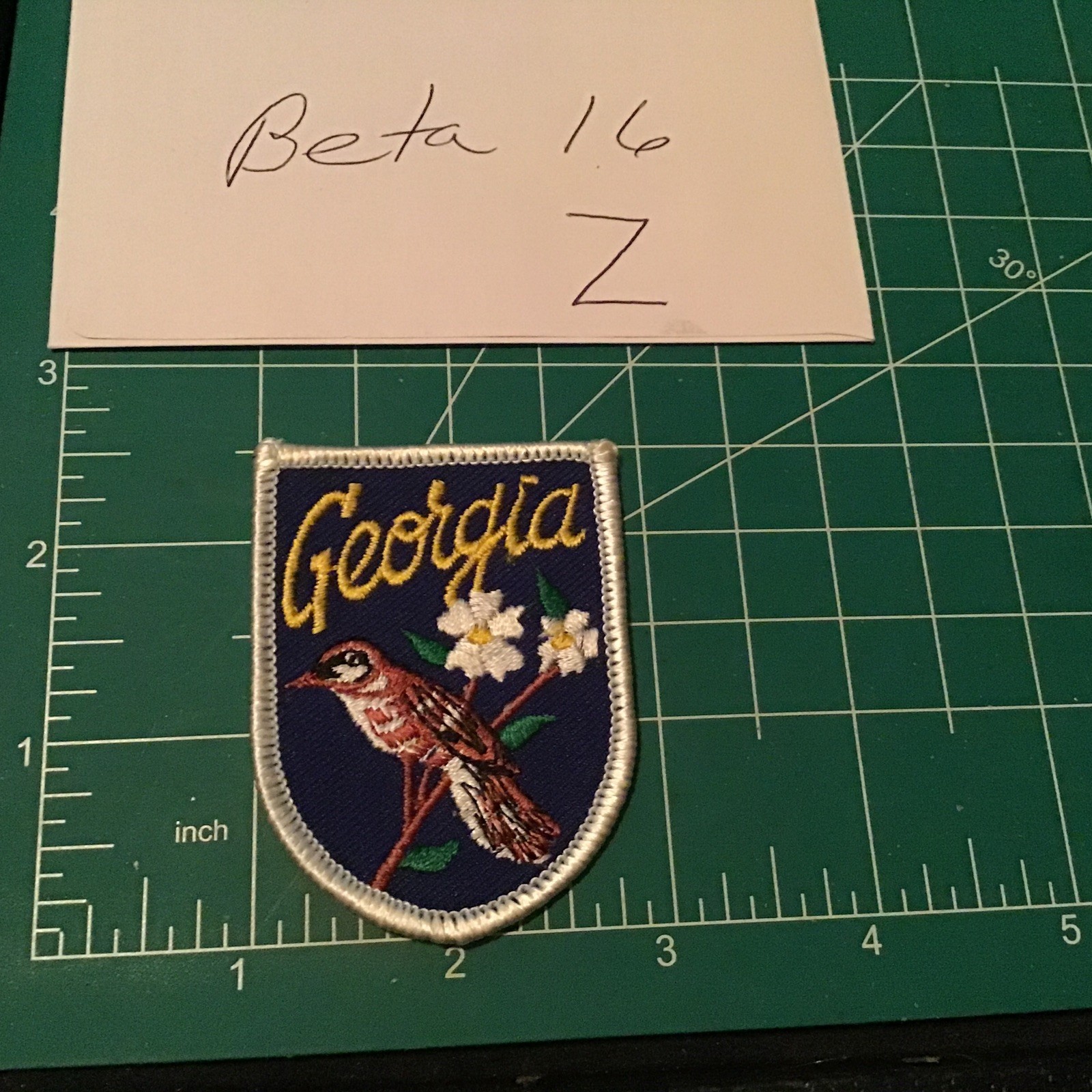 VTG Voyager GEORGIA “Brown Thrasher” Iron On Patch
