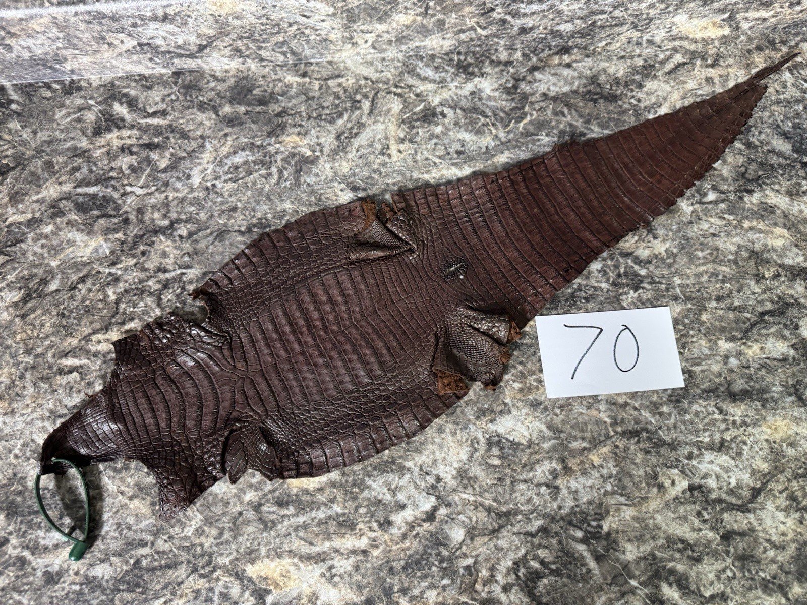 Brown Genuine Caiman Crocodile Hide Leather Skin real alligator Croc #70