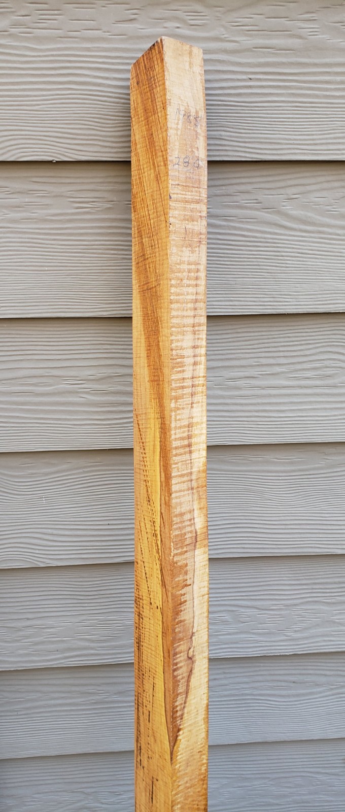 🔥 70.25" CURLY FIDDLEBACK TIGER MAPLE MUZZLELOADER RIFLE LONGRIFLE Blank Slab