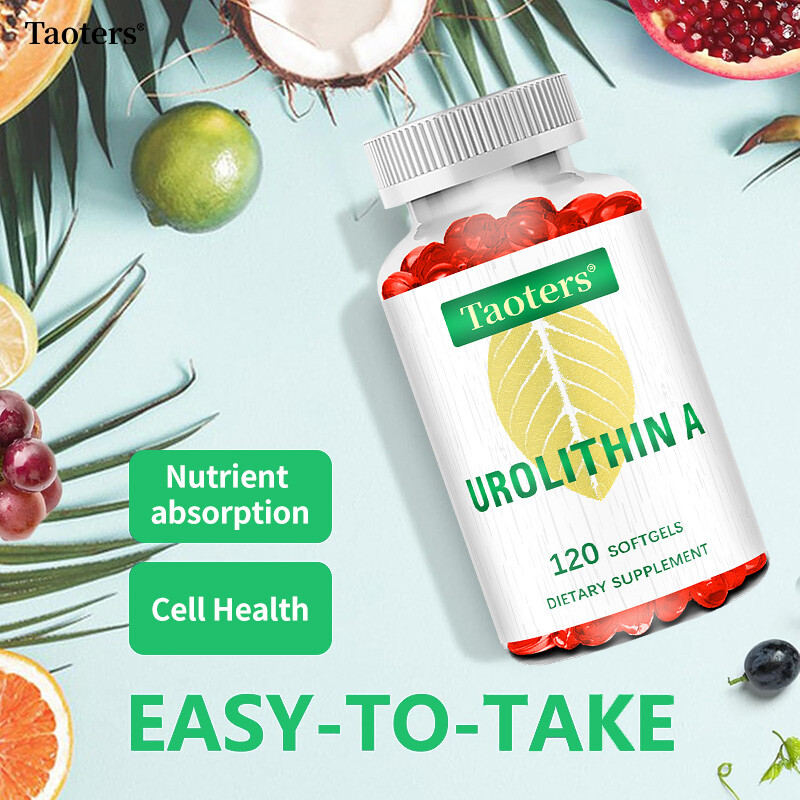 Urolithin A Supplement Improve Muscle Endurance Overall Health 120 Capsules US