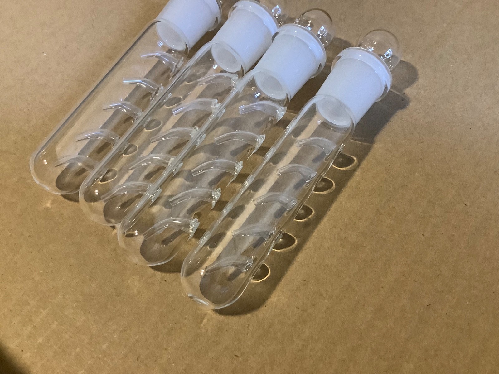 4 Pack Planaria Traps, Clear Glass