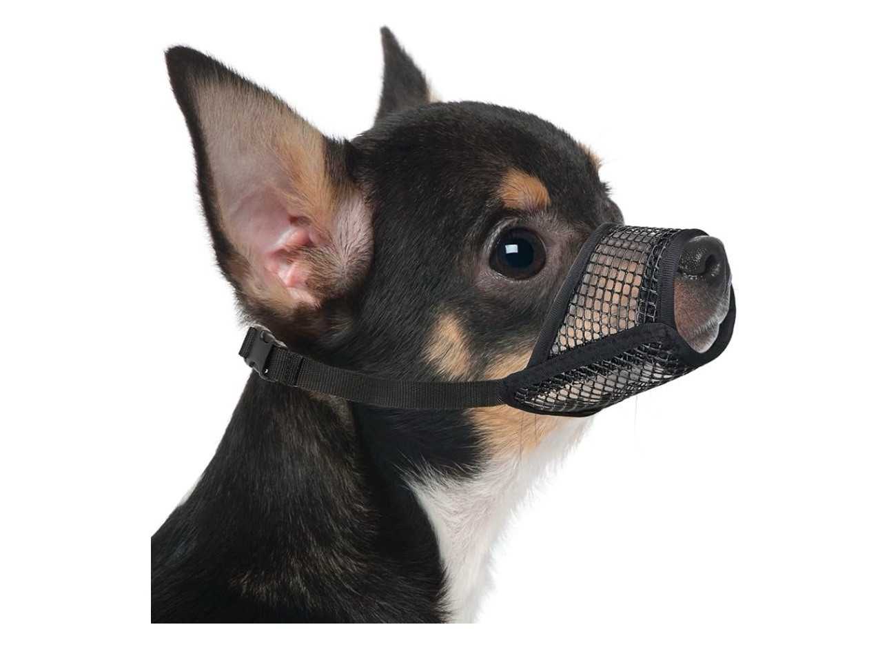 Mayerzon Dog Muzzle Soft Mesh Muzzles for Small Medium Large Dogs Chihuahua