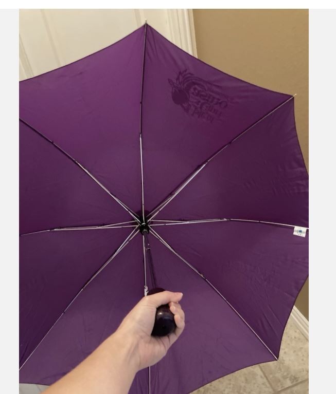 Pick your Umbrella! Various colors/styles