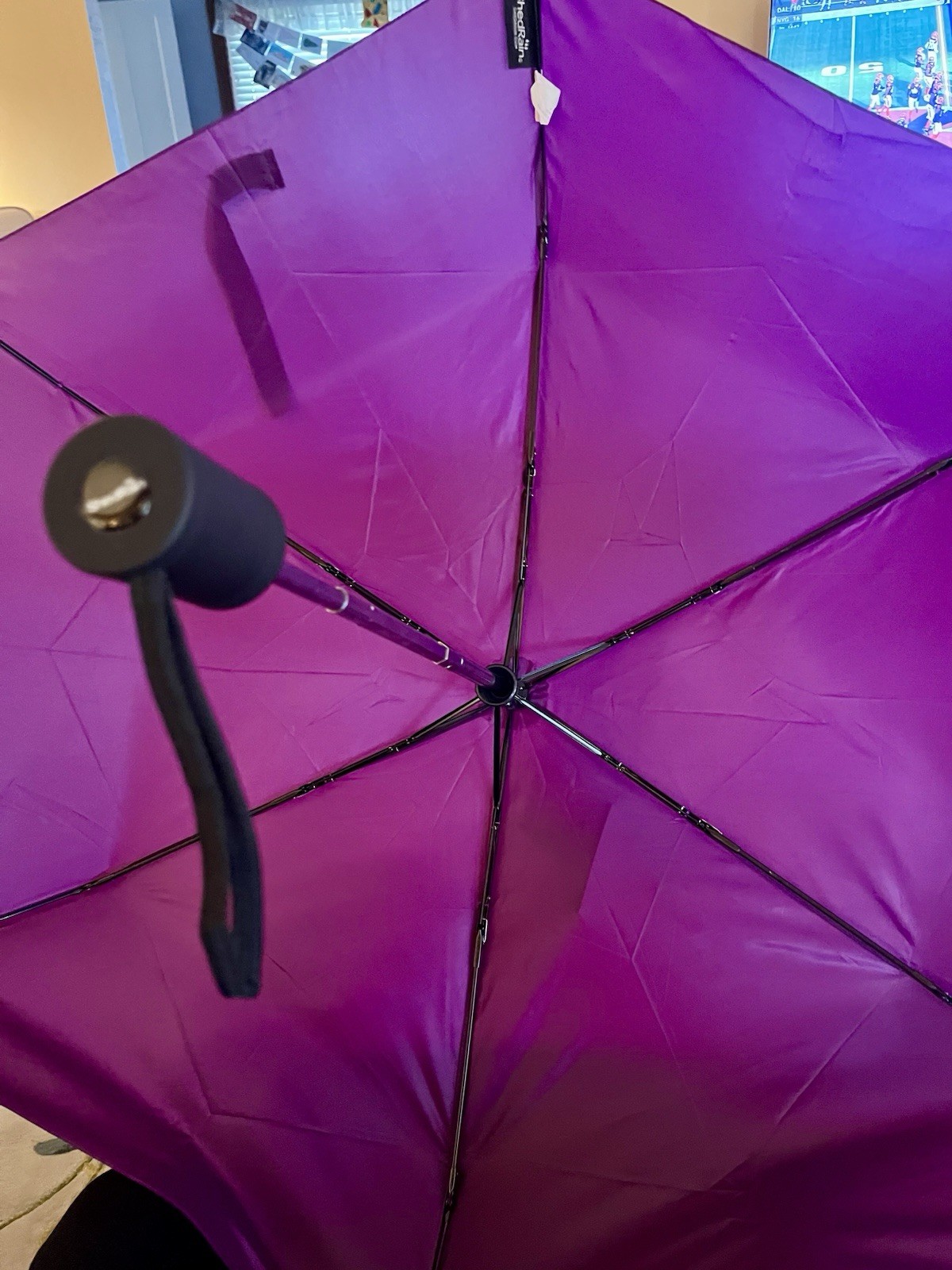 Rain Essentials Dark Purple New Umbrella