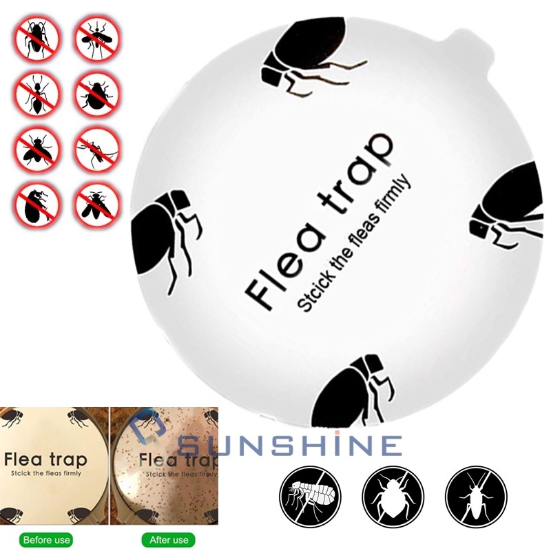 1x Trampas para Pulgas Adhesivas Capturador de Insectos Eliminador de Mosquitos