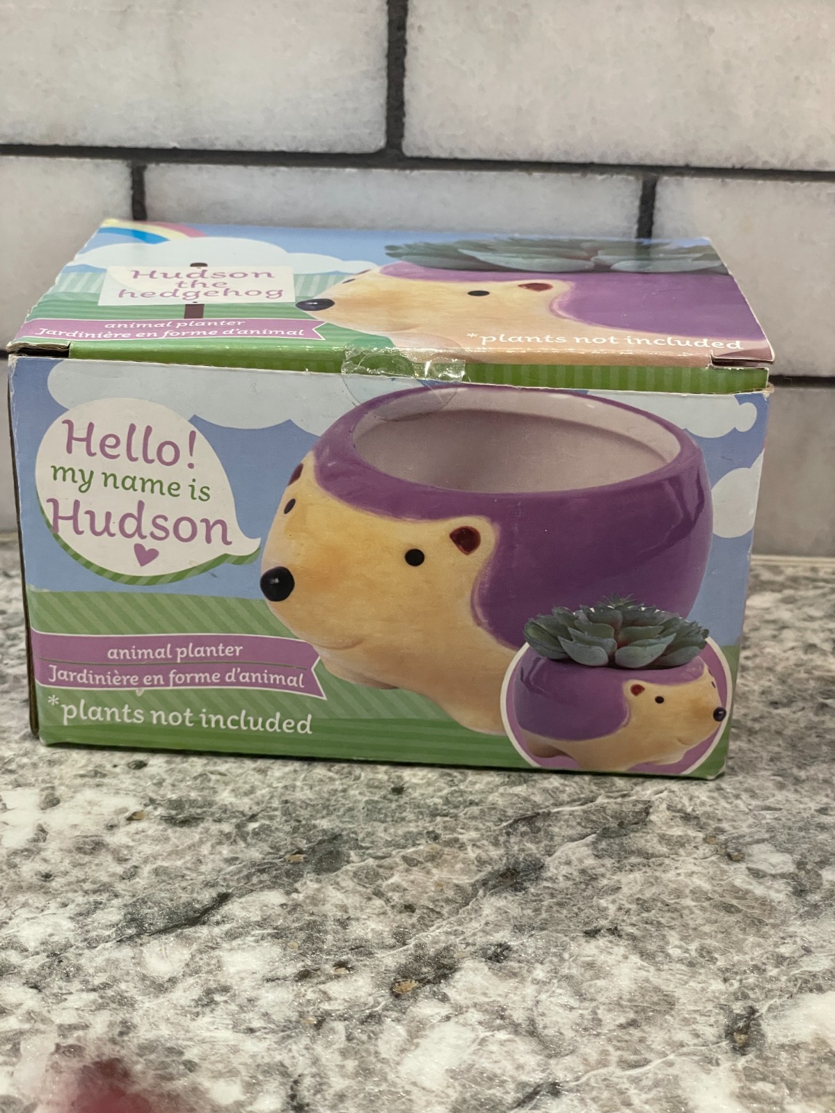 Hedgehog Animal Planter, "Hudson" Ceramic, *****New*****