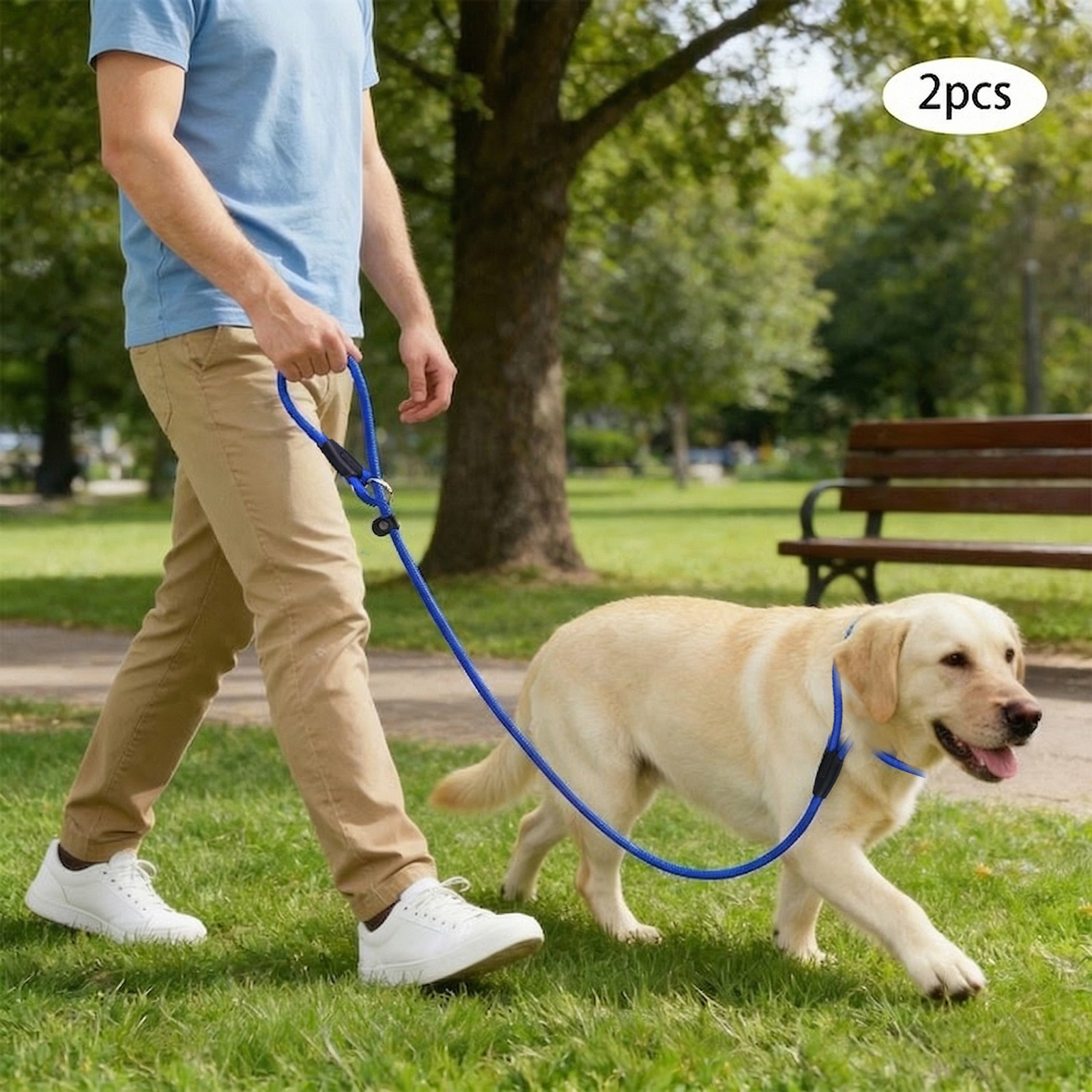 2 Pieces Dog Training Lead Leash Nylon Head Collars Slip Leads Dog Leashes Blue