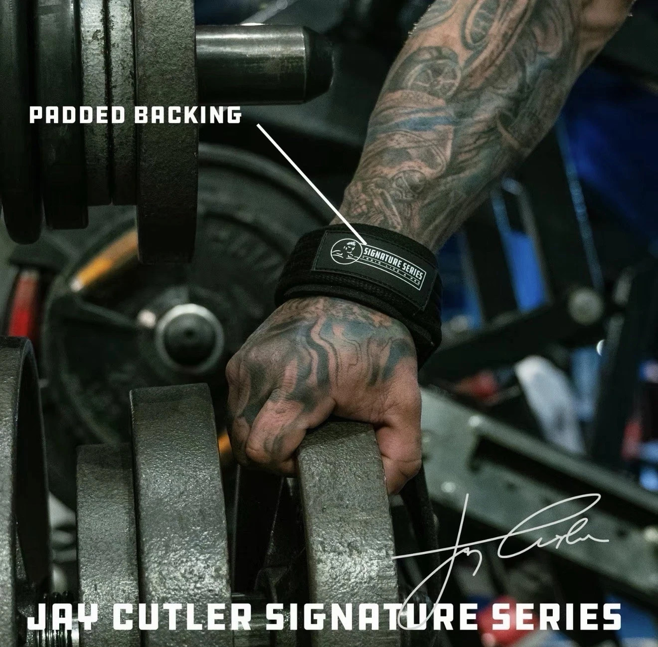 Jay Cutler Signature Series D Ring Lifting Straps, Thick Strap For Superior Grip