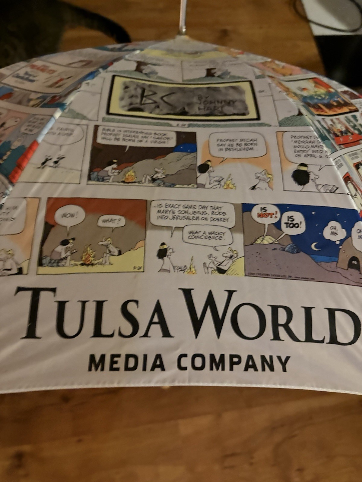 VTG Newspaper Comics Strip Tulsa World Umbrella Dilbert Peanuts Ziggy 36” Open