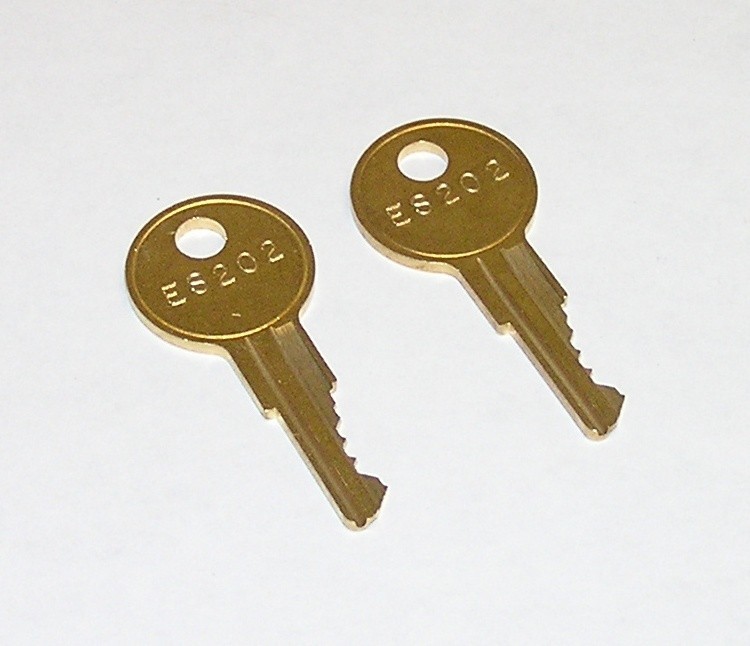 2 - ES202 Replacement Keys fit Cornelius Quest 2000, Quest NT Beverage Dispenser