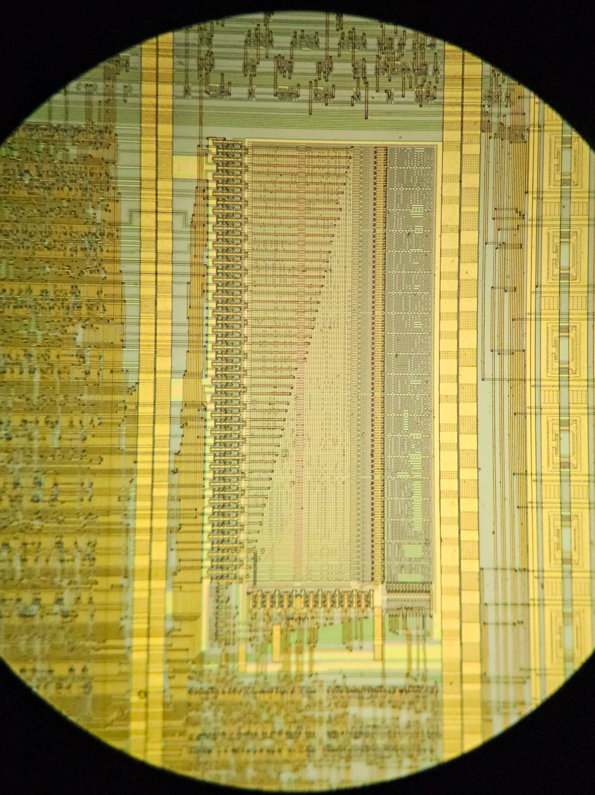 microscope slides