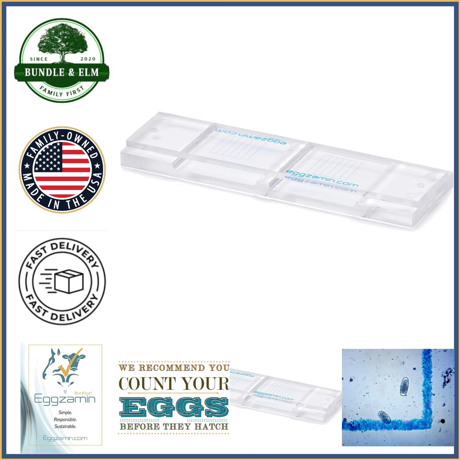 Led Light Microscope Slide for Reliable Fecal Egg Counts in Veterinary Use