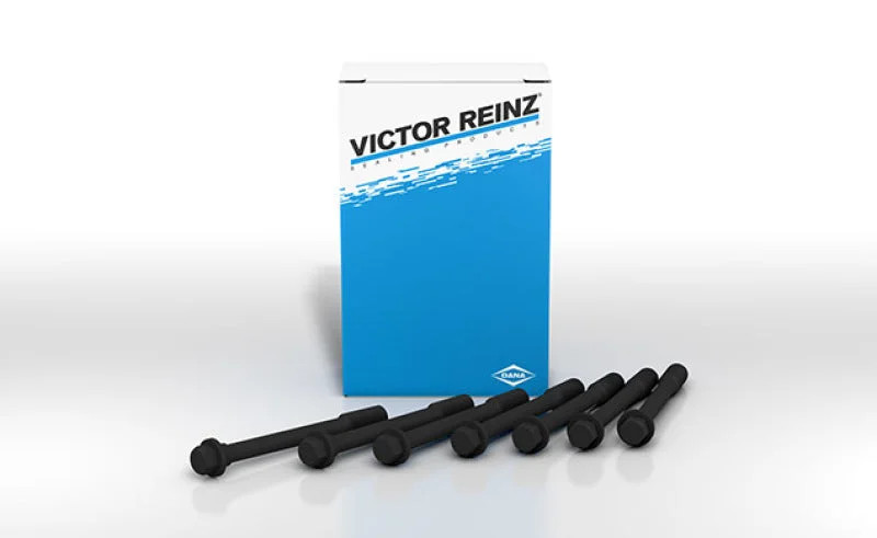 Victor Reinz GS33452 Cylinder Head Bolts fits 1969-1976 BMW 2000TII / 1973-1976