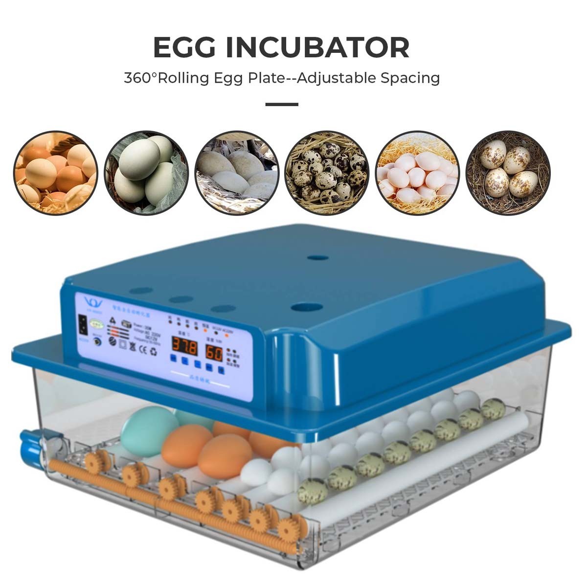 Bule 36 Egg Incubator with Auto-Turning Temperature Humidity Control Egg Hatcher