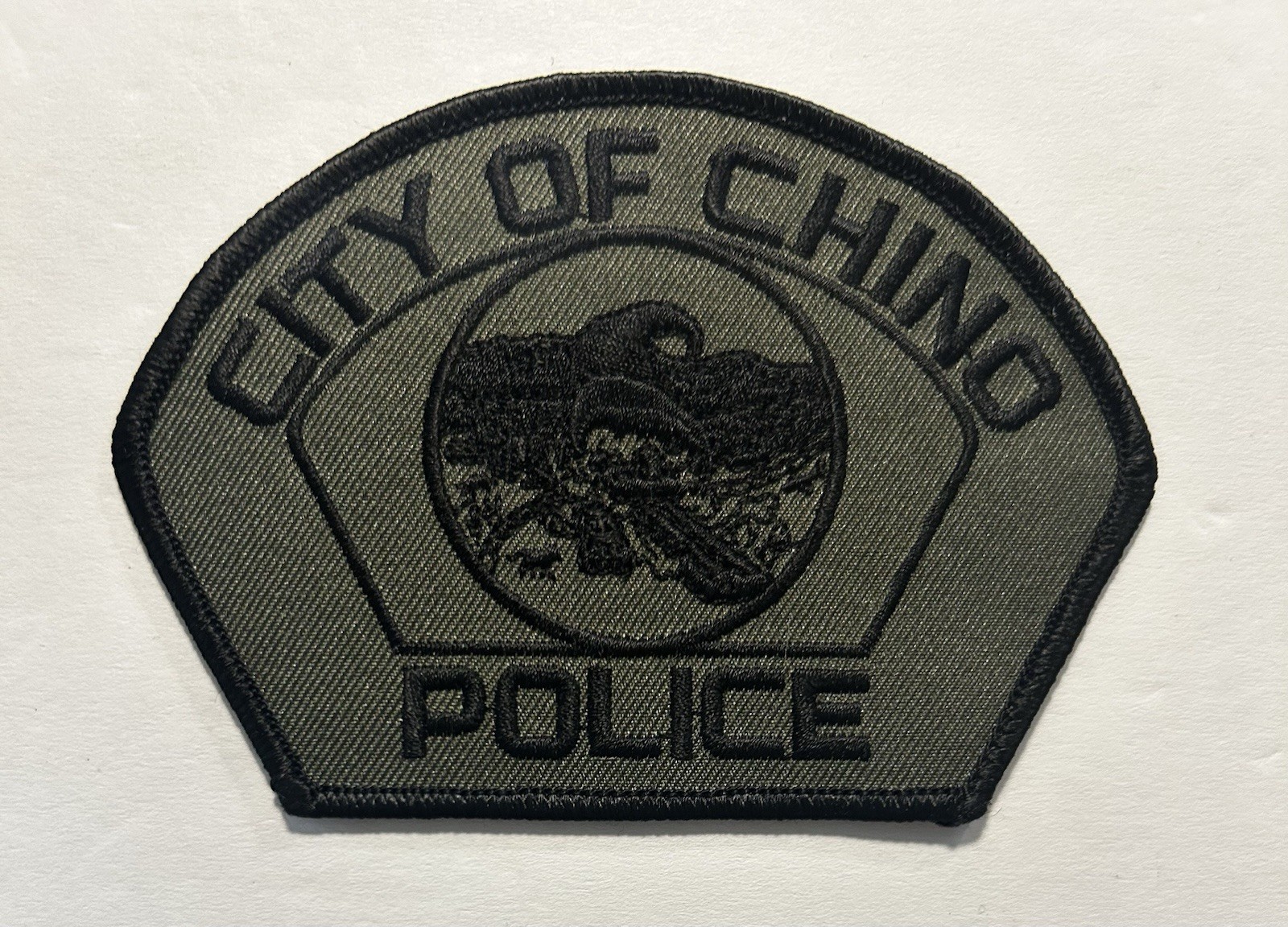 CALIFORNIA CA CHINO POLICE DEPT SUBDUED SWAT SAN BERNARDINO COUNTY #PDD33