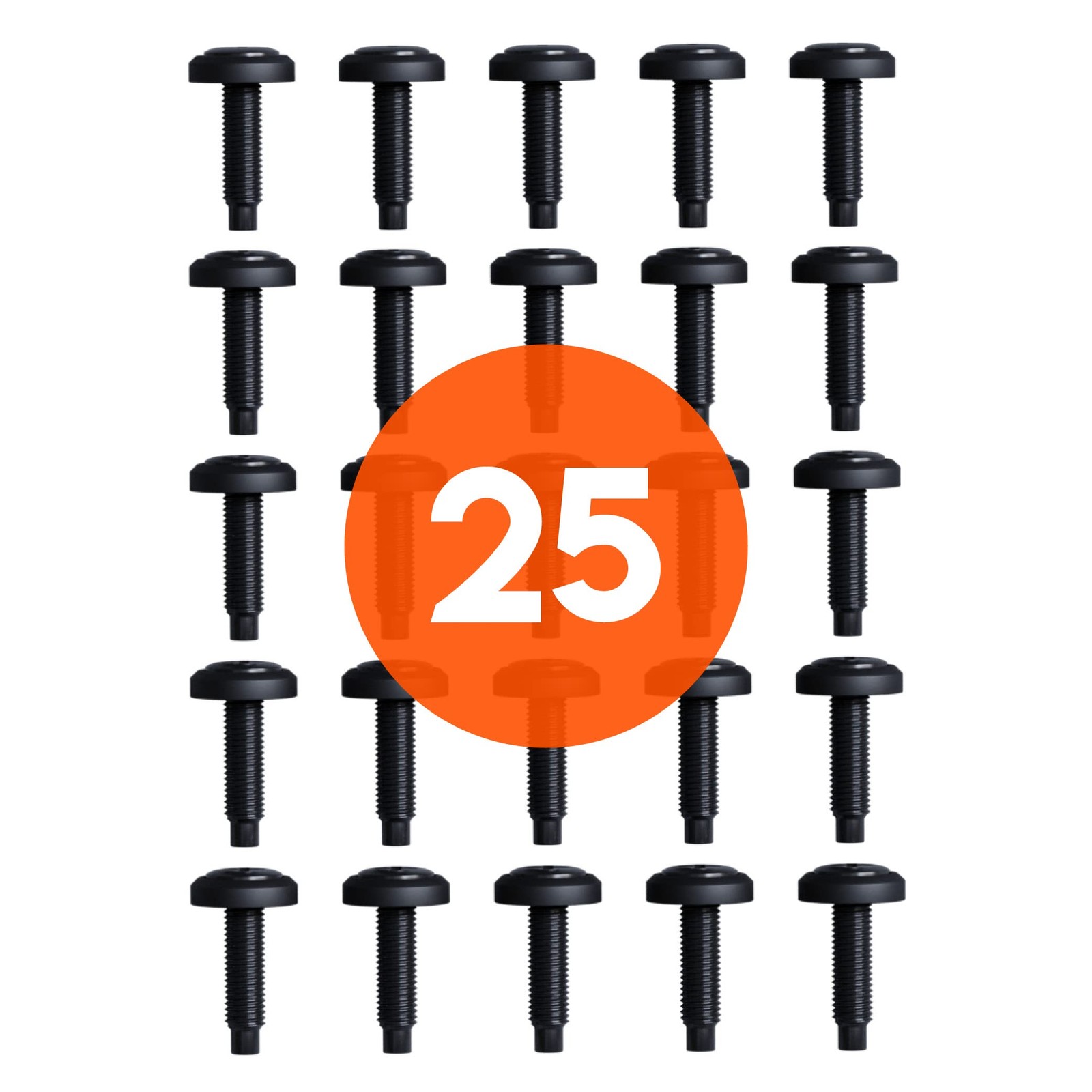 ECHOGEAR Server Rack Screws 25 Pack - 10/32 Steel with 25 Pack, Black