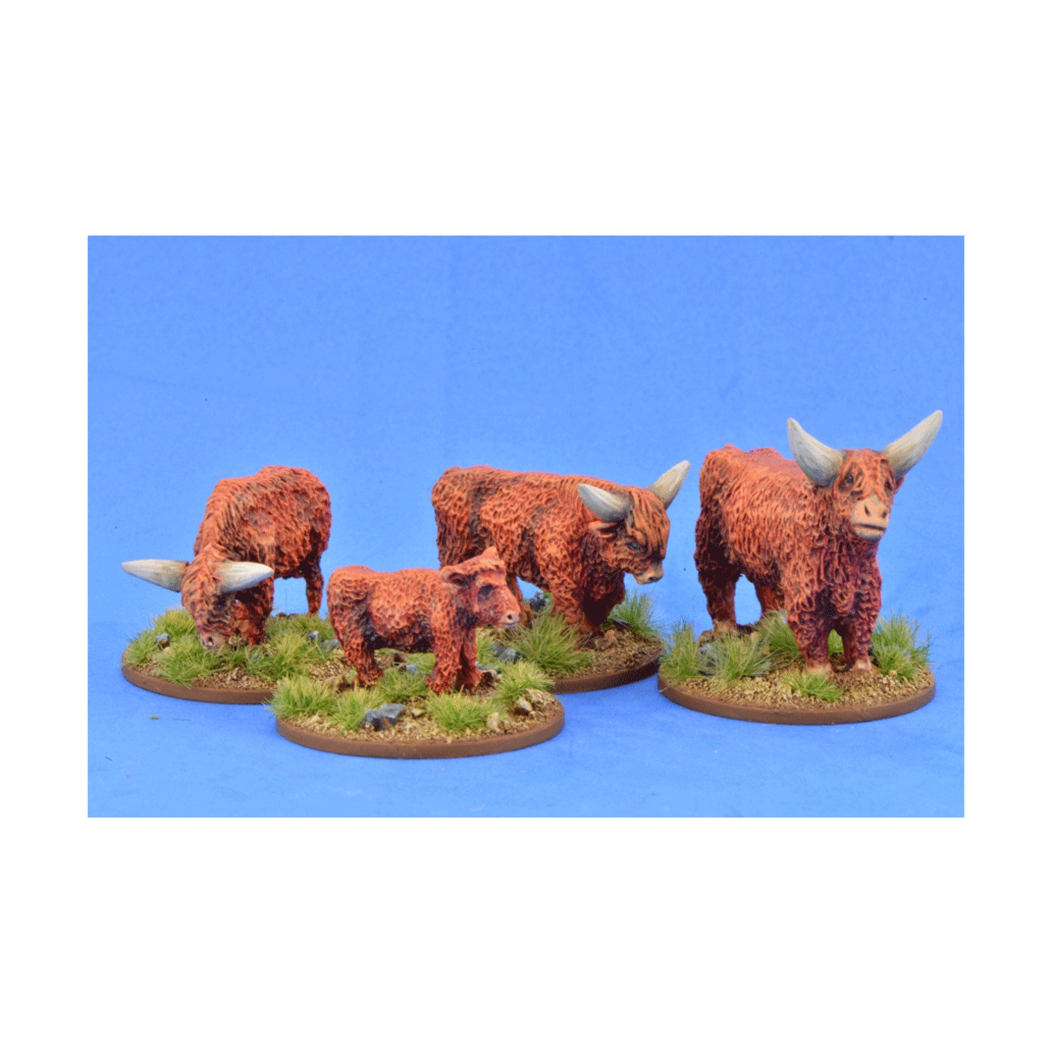 Gripping Beast Saga Scenic Animal Highland Cattle Pack New