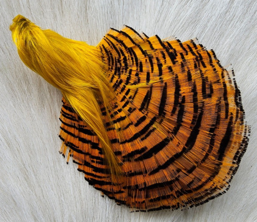 Golden Pheasant Cape. Fly Tying Feather.  Color; Yellow.. Grade "AA"
