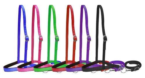 Showman Premium Nylon Padded Noseband Tie Down