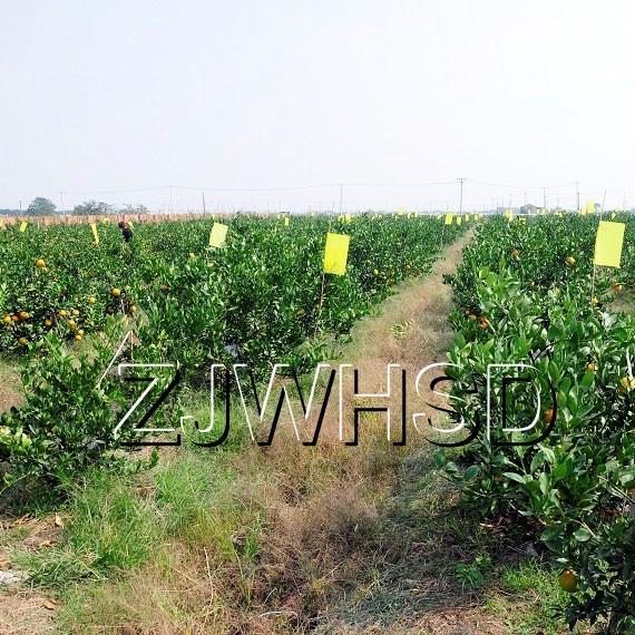20pcs Yellow Sticky Insect Aphid Whitefly Thrip Gnat Fruitfly Leafminer Trap