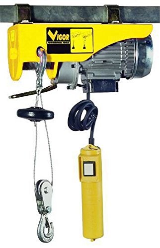 4973010 125 Max Rope Hoist, 250kg