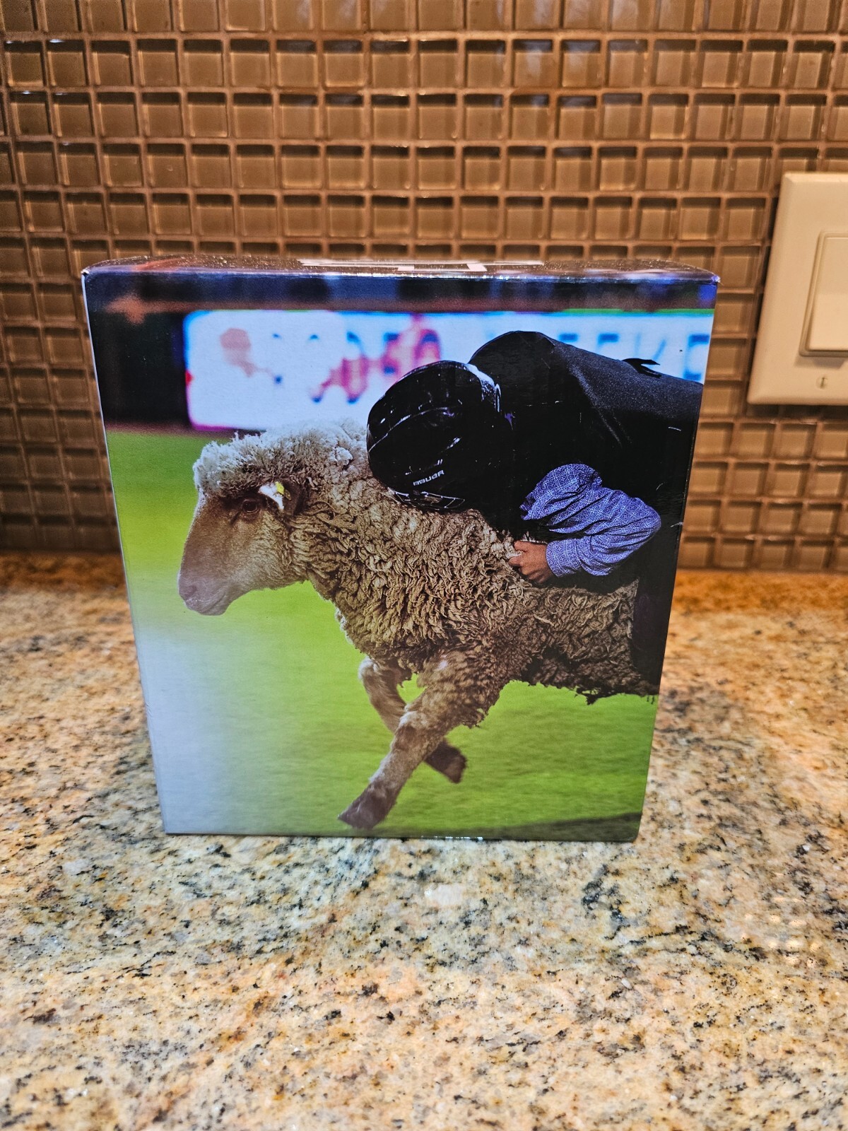 Corpus Christi Hooks Sammy Seagull MUTTON BUSTIN SAMMY SGA Bobblehead