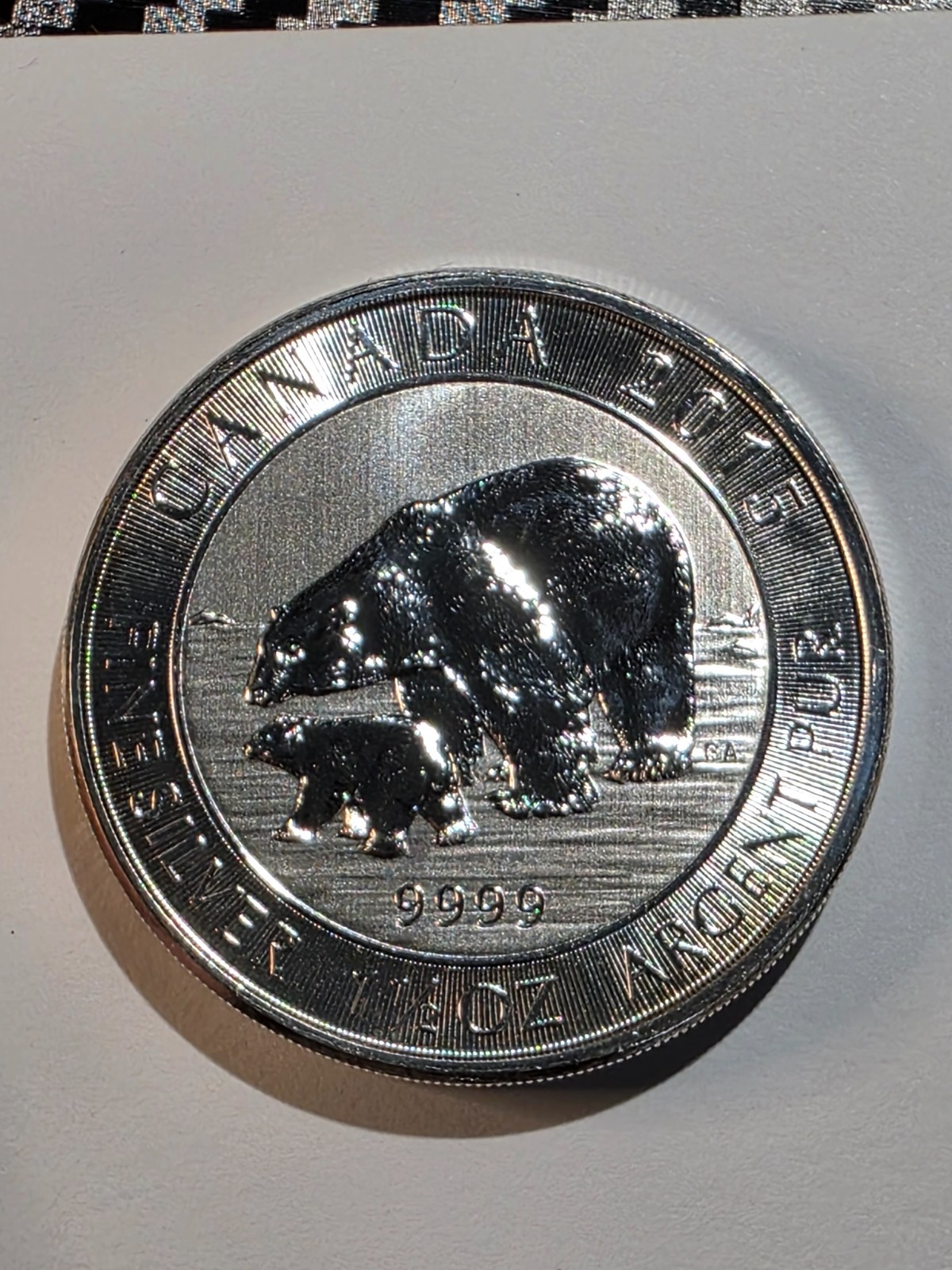 2015 Canada 1.5 oz Silver Polar Bear Coin .9999 Fine BU – RCM