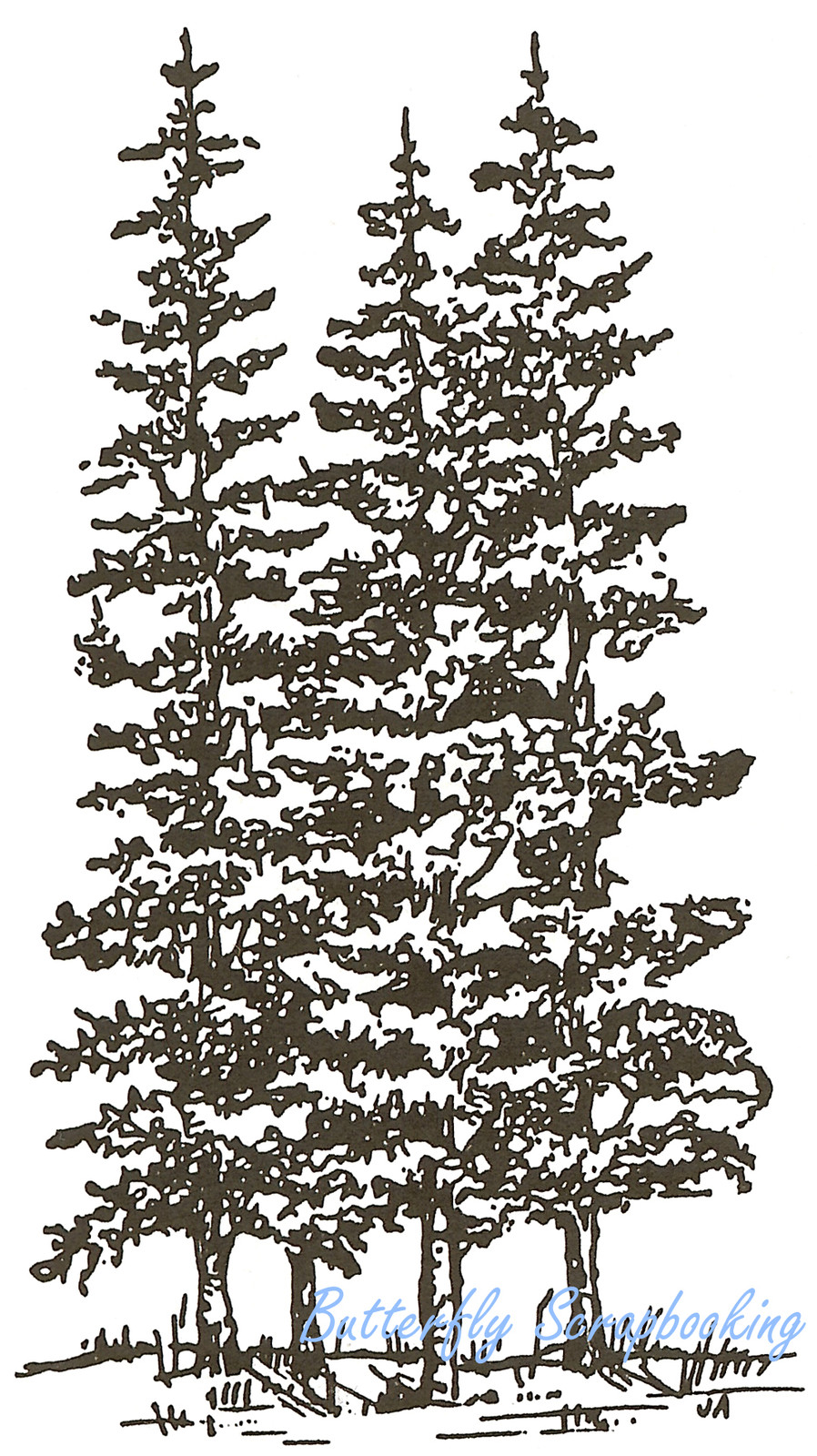Pine Cluster Pine Trees Wood Mounted Rubber Stamp Northwoods J1600 New