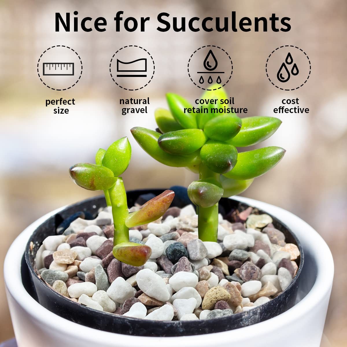 5 lbs Natural Mixed Color Gravel Pebbles, 3/8 Inch Decorative Succulent Rocks...