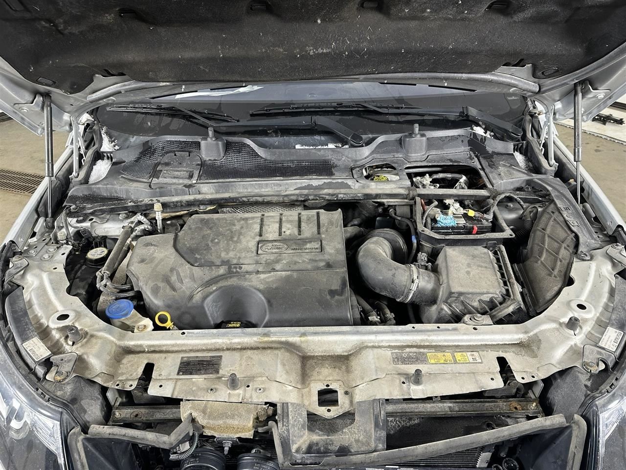 Driver Left Front Spindle/Knuckle Fits 15-19 DISCOVERY SPORT 2822914