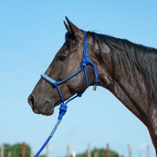 Braided Nylon Rope Halter with 8' Lead Rope