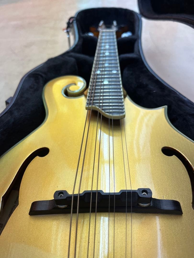 Earlham Gold Mandolin 8 string