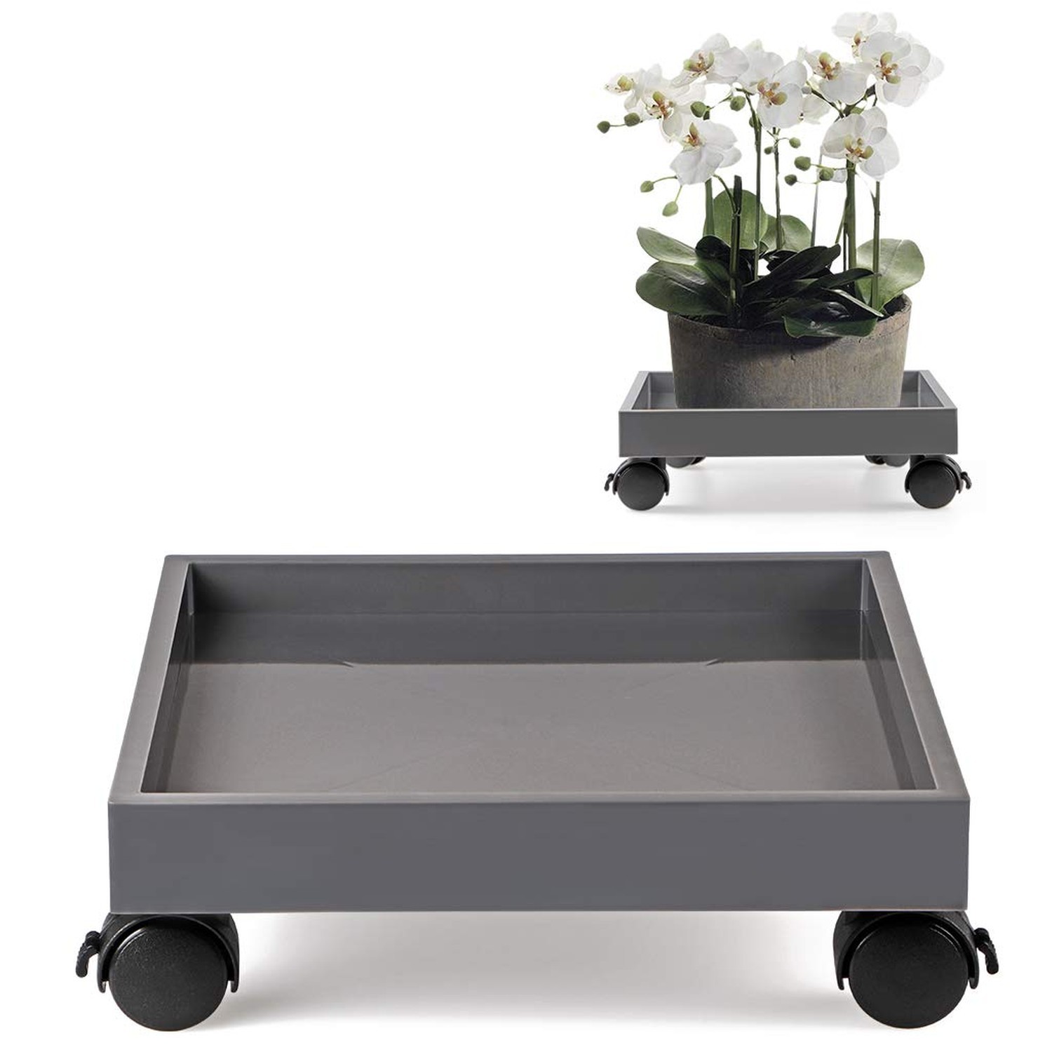 Skelang Square Wheeled Plant Dolly - ABS Planter Trays, Heavy Duty, Load Capa...