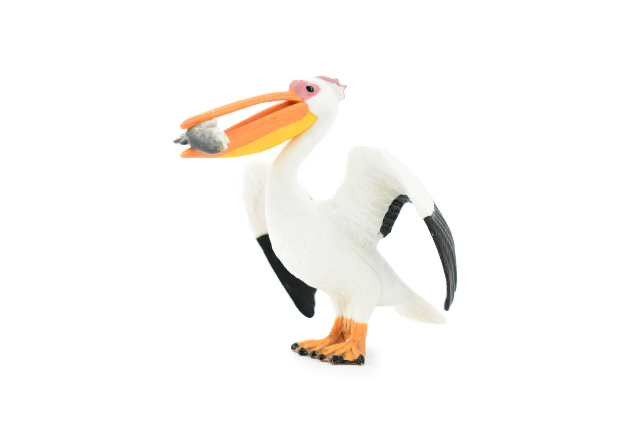 White Pelican with Fish, Realistic Toy Figure, Model, Replica 4" CH274 BB124