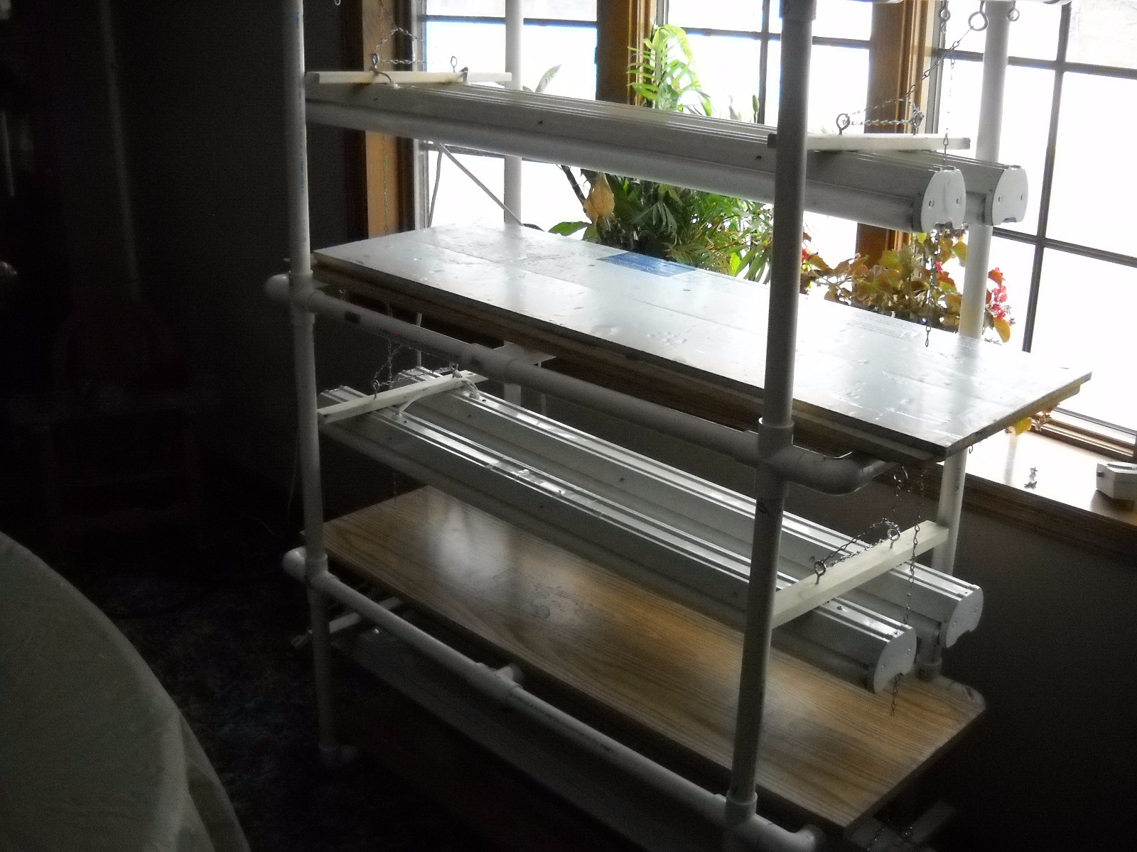 seed starting light stand plus bonus
