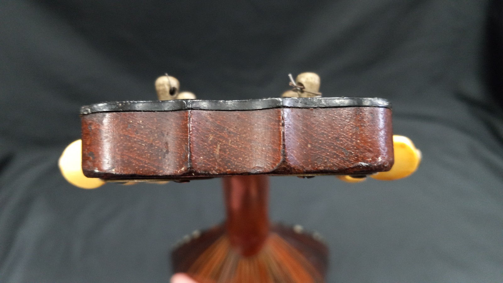 Marshall Field & Co Luxton Chicago Mandolin (READ DESCRIPTION)