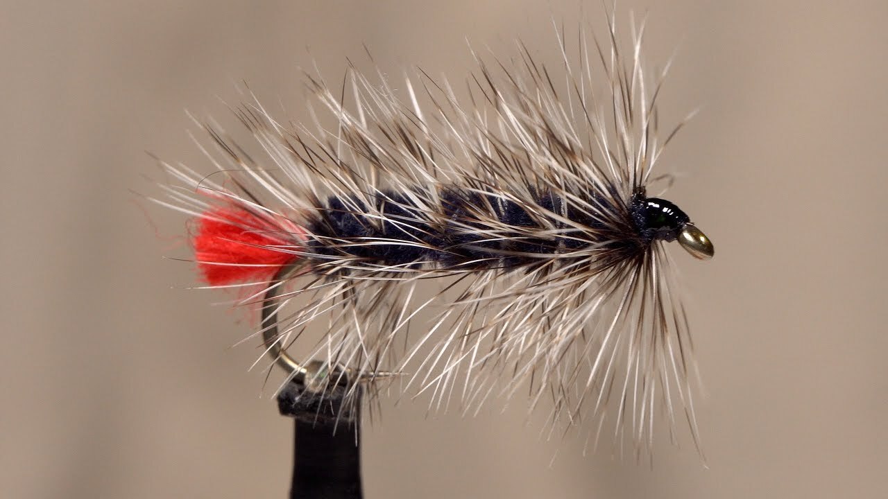 1/2 Dozen Weighted Black Woolly Worm Fishing Flys