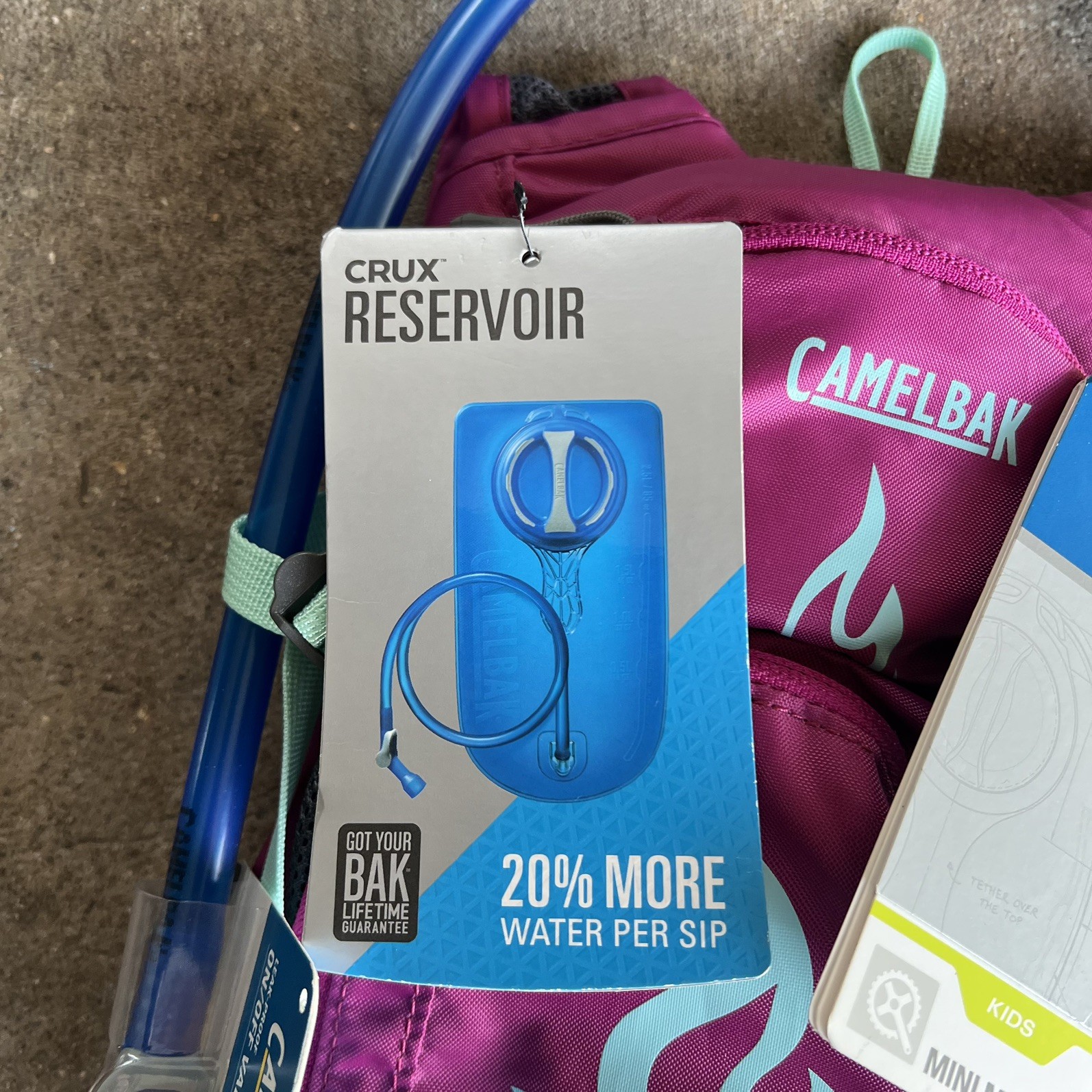 CamelBak Mini M.U.L.E. Kids Hydration Backpack, 50 oz, Purple #032