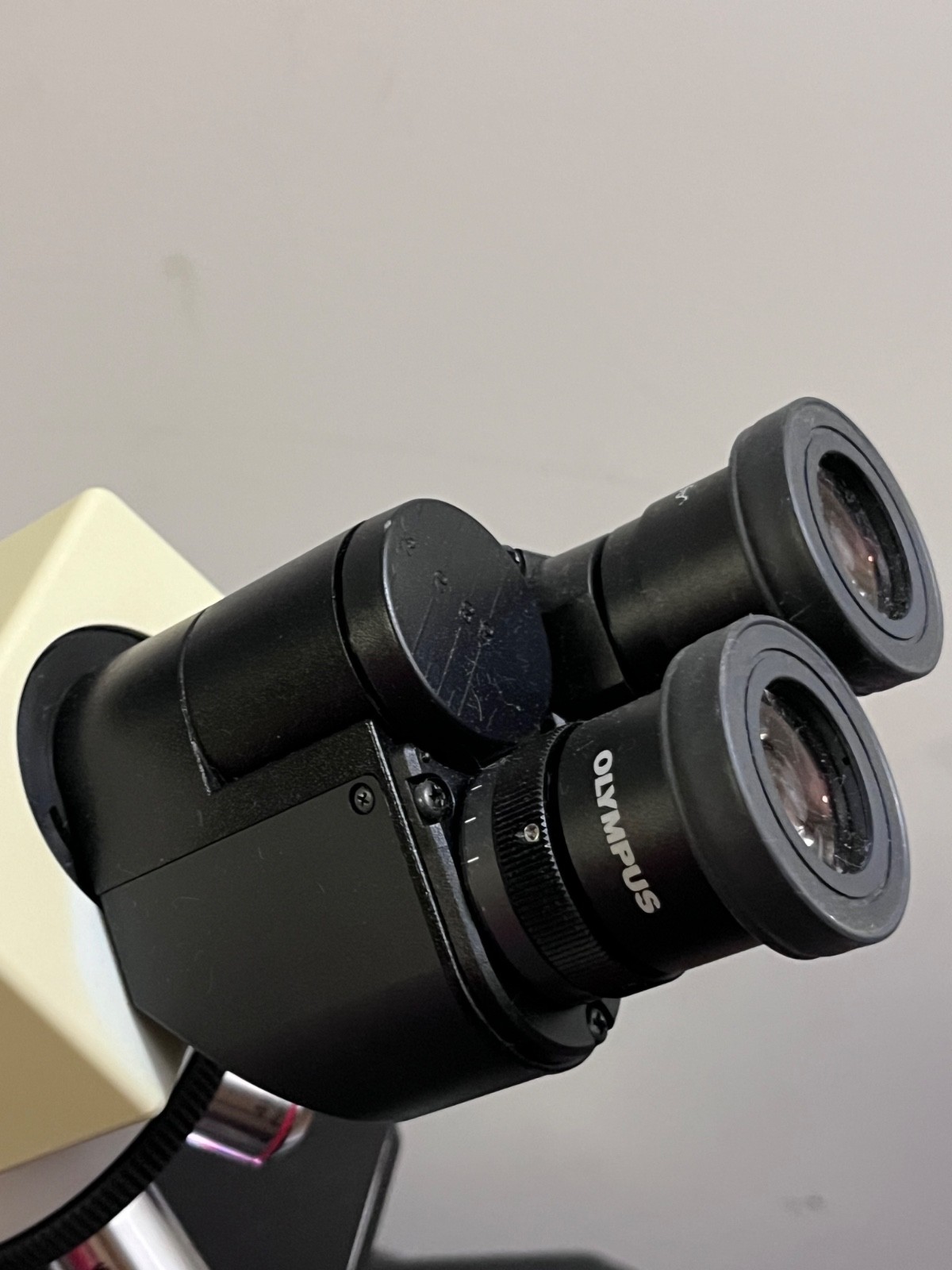 OLYMPUS CX21FS1 BINOCULAR MICROSCOPE PLAN 4 10 40 100 OBJECTIVES Olympus CX21
