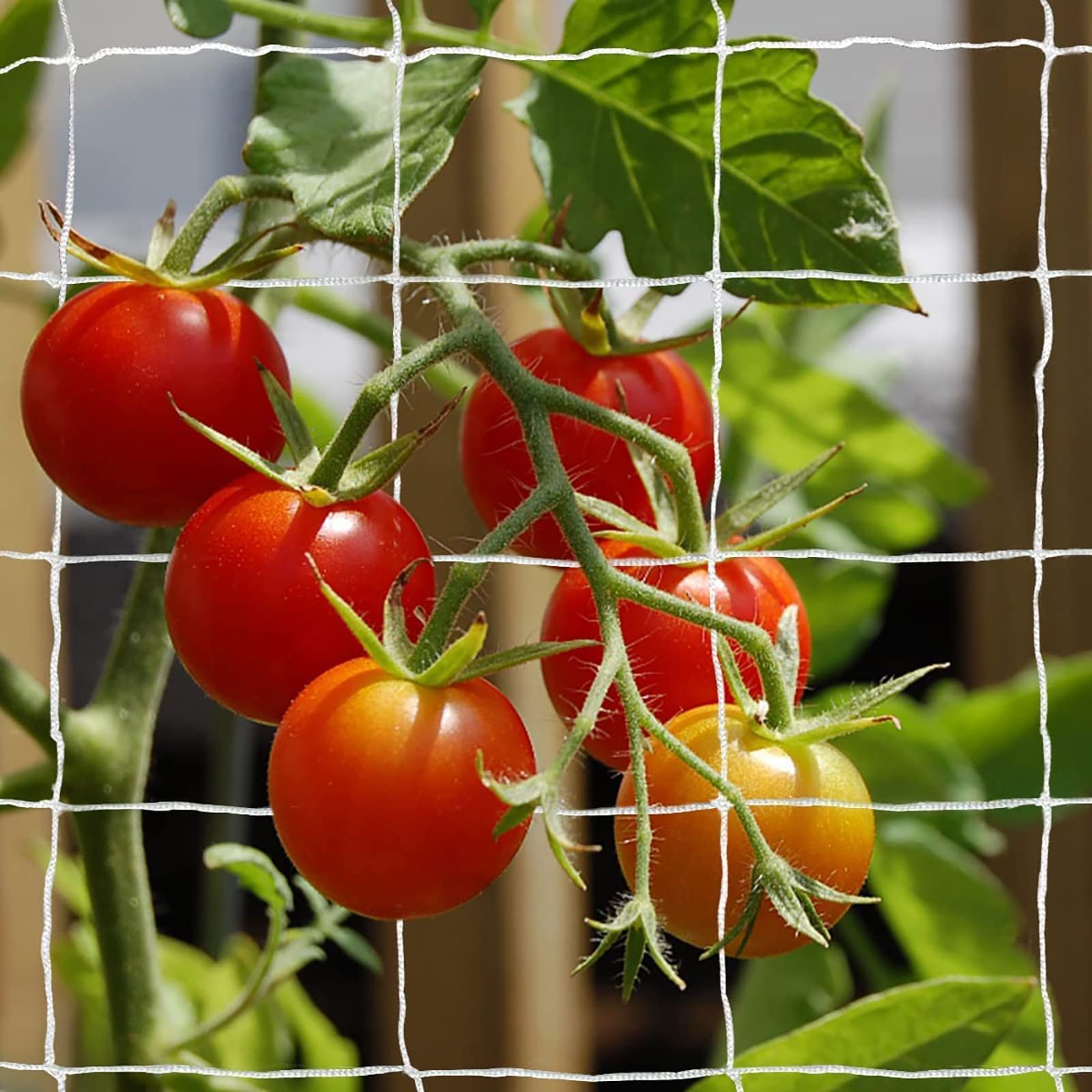 Tcamp Heavy-Duty Polyester Plant Trellis 6" Mesh (5 Ft X 30 Ft), White