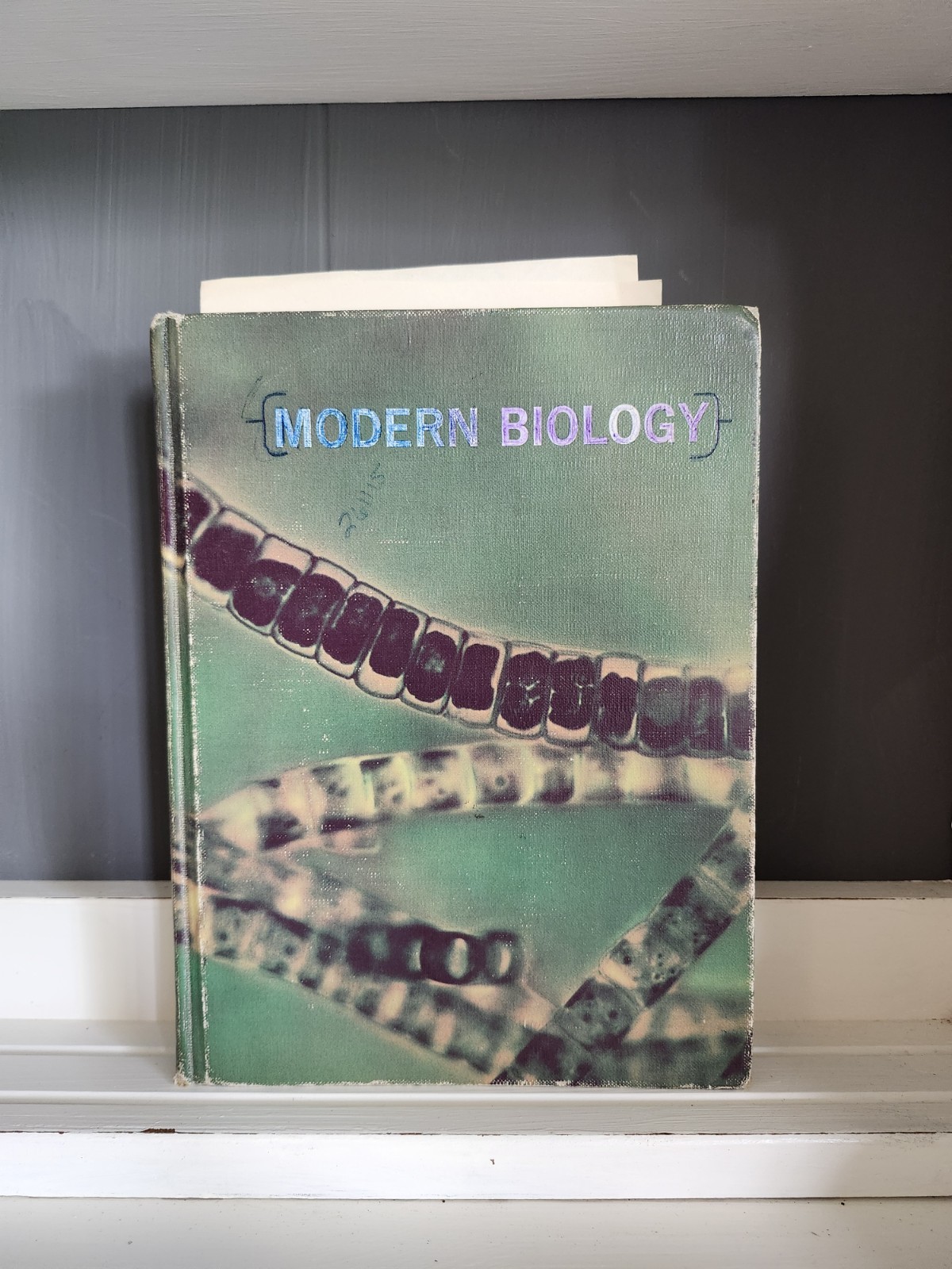 Modern Biology Hardcover 1969 Holt Rinehart Winston Otto Towle Vintage