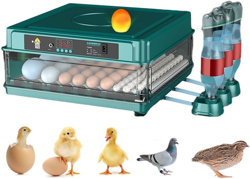 38 Egg Digital Poultry Hatcher Machine Automatic Egg Incubator