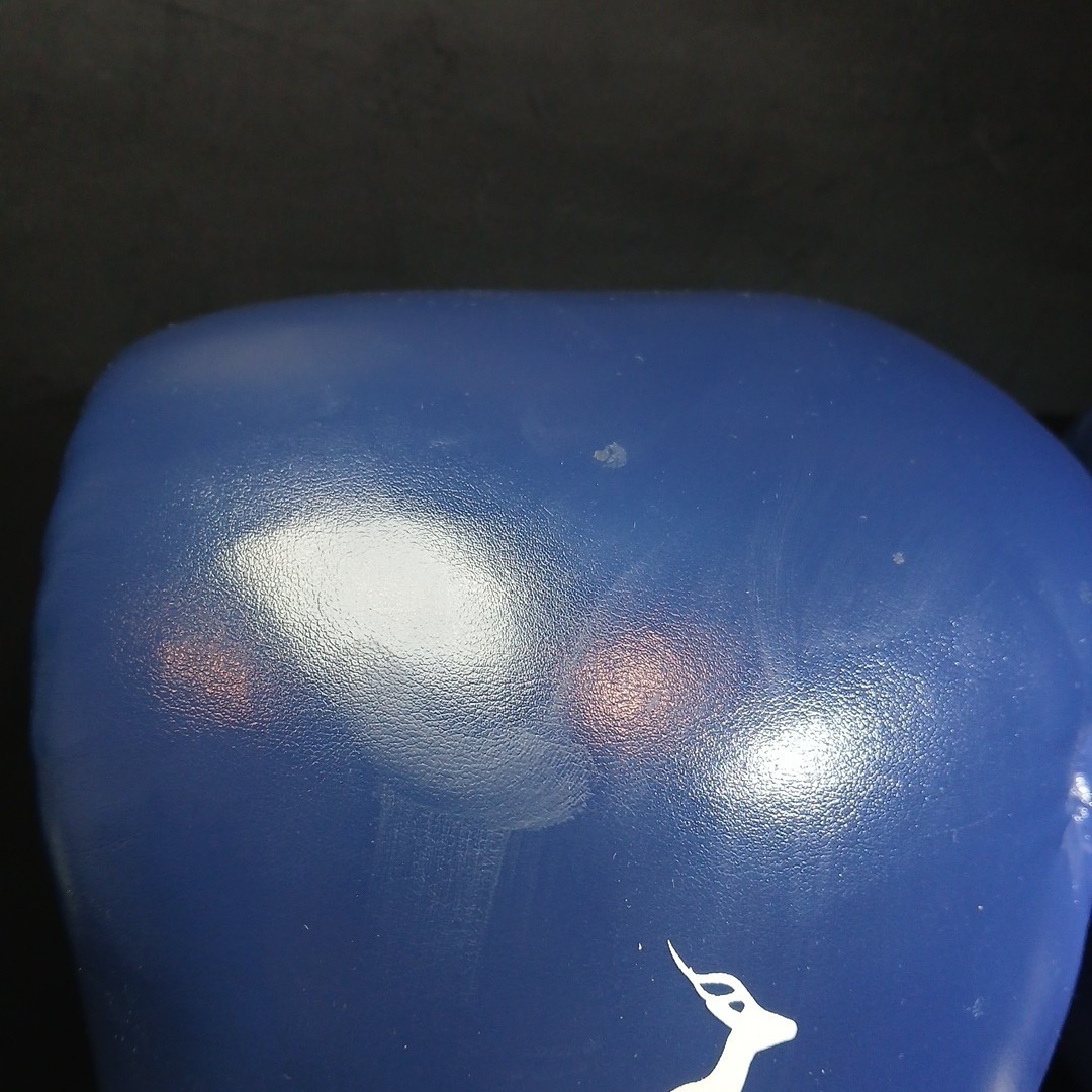 Trideer 16oz Boxing Gloves. Blue And White