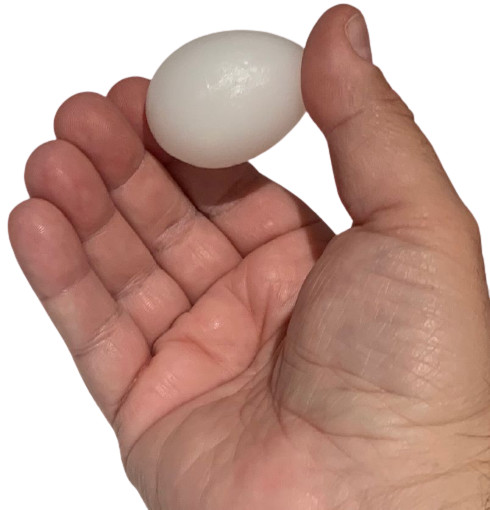 EGGS FROM MOUTH PRODUCTION Out of Magic Trick Appearing Solid Comedy Set Plastic