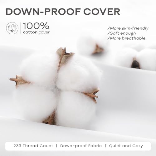 Set of 2 Down and Feather Throw Pillow Inserts 20x20 Soft Fluffy 20x20 Inch